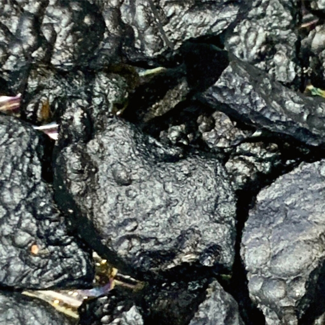 Tibetan Tektite Crystal Nugget Specimen Rough 
