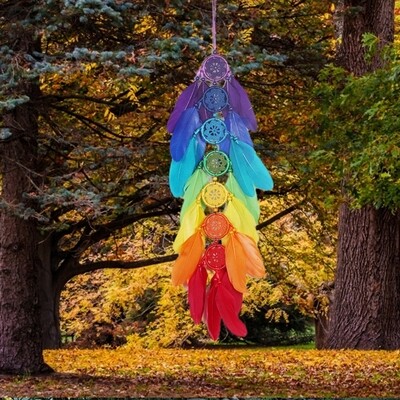 DREAMCATCHER RAINBOW CHAKRA MULTICOLOUR FEATHER LONG WALL ORNAMENT 