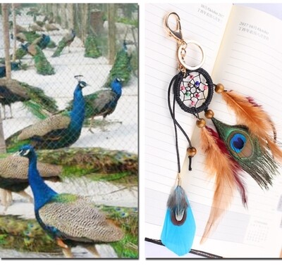 DREAMCATCHER PEACOCK MULTICOLOUR KEYCHAIN CAR BAG ACCESSORY 