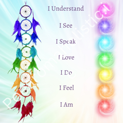 DREAMCATCHER RAINBOW CHAKRA LONG FEATHER MULTICOLOUR