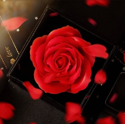 Soap Rose in a Jewellery Gift Box, Red Rose in Gift Box Eternal Flowers Infinity Rose for Women
