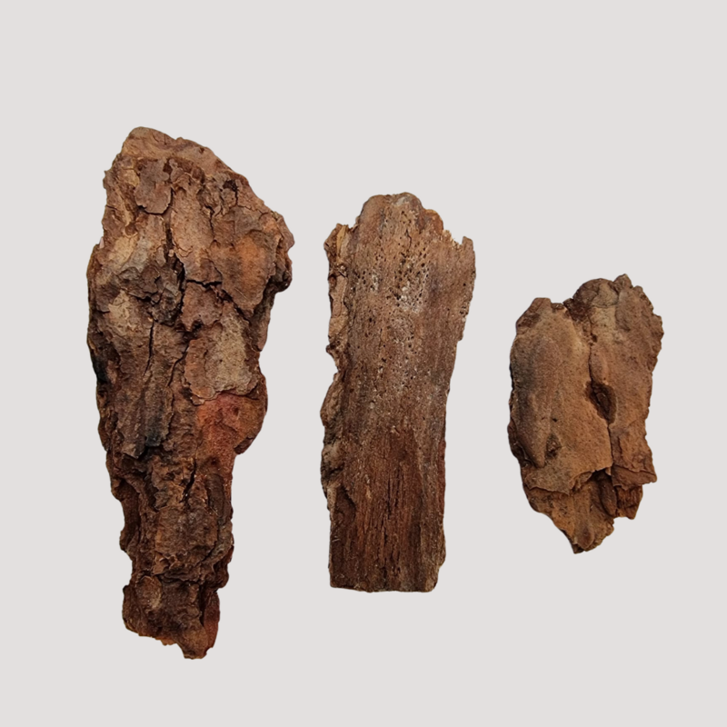 Cedar Sacred Wood Lebanese Cedar Bark Sticks Organic Aromatherapy Smudging 