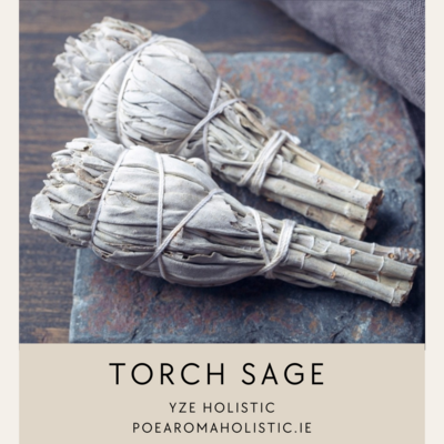 Sage Torch Smudge Stick 4&quot; Dried White Sage AAA Grade with Beautiful Scent, Home Cleansing Incense 