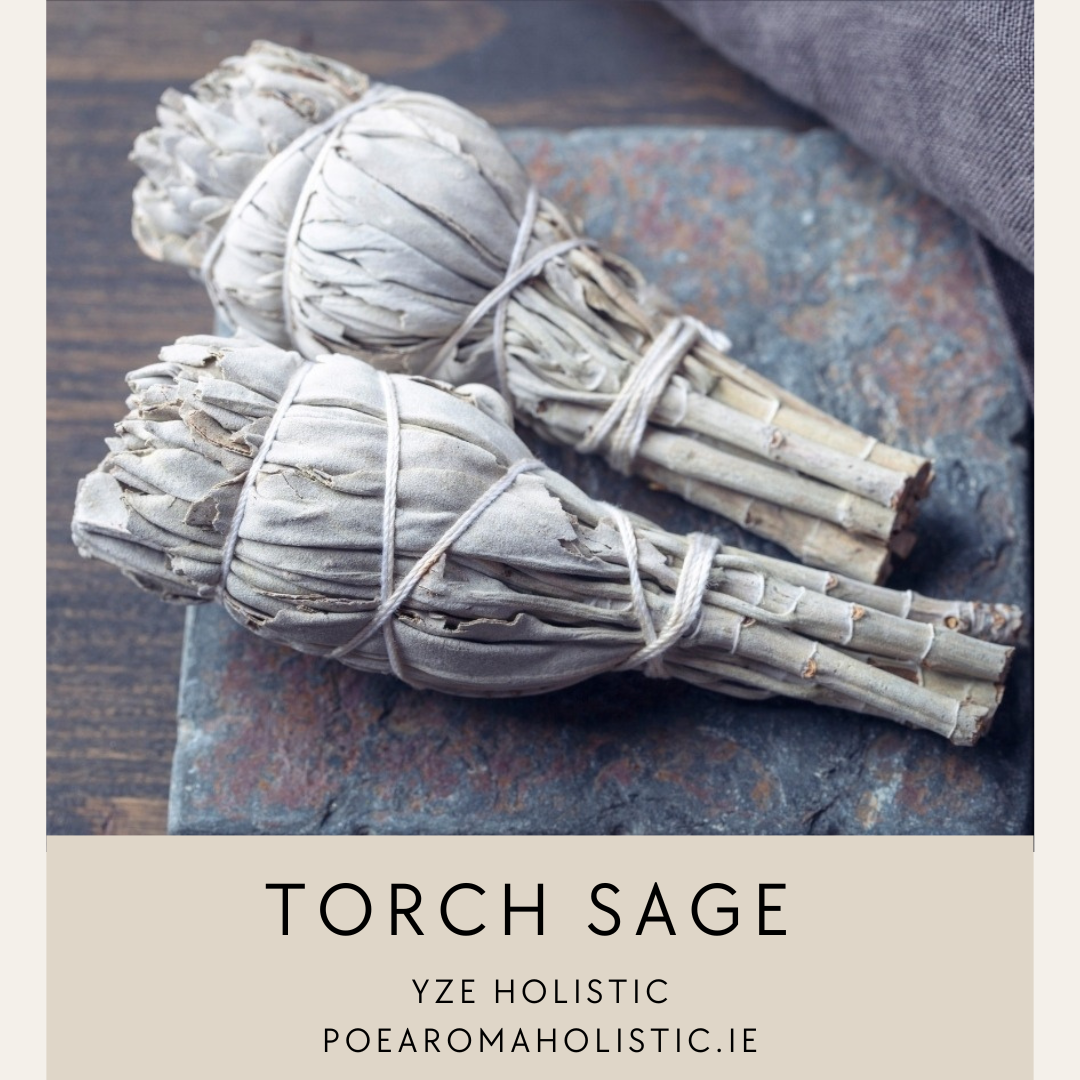 Sage Torch Smudge Stick 4&quot; Dried White Sage AAA Grade with Beautiful Scent, Home Cleansing Incense 