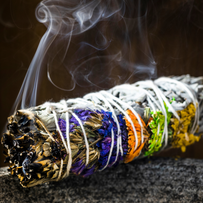Sage Smudge Chakra Rainbow Sinuata Flower White Californian  Sage 