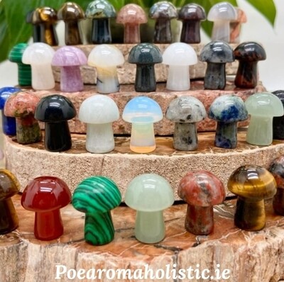 Mushroom Crystal Worry Stones Carving Natural Stone 