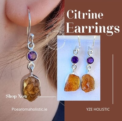 Citrine and Amethyst Crystal Rough Stone Earrings