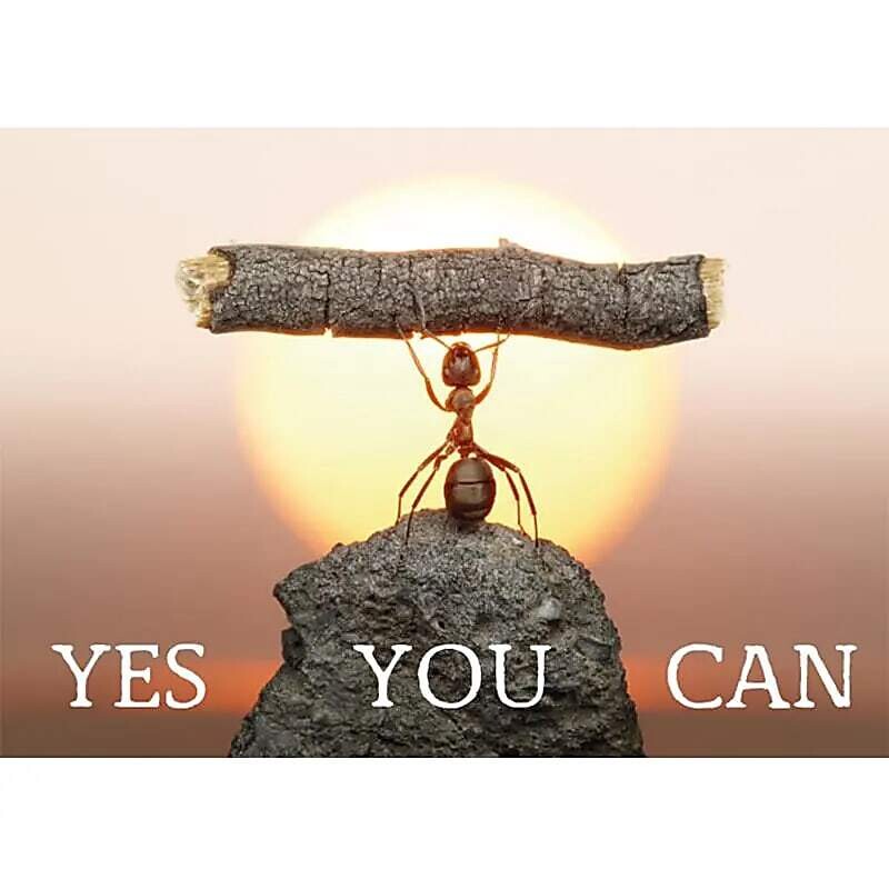 Postcards Yes you can