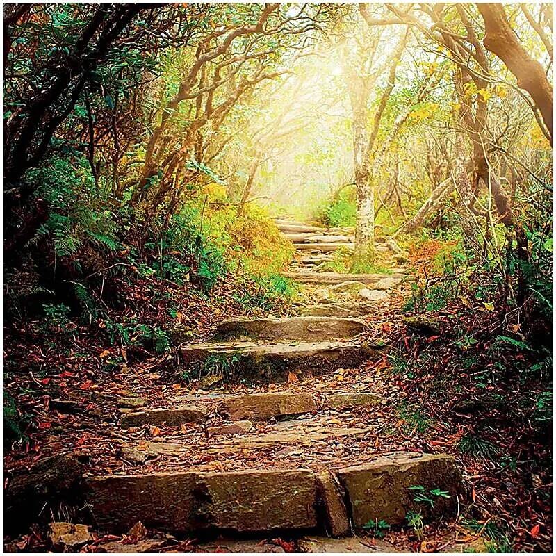 Greeting cards The road ahead
