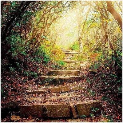 Greeting cards The road ahead