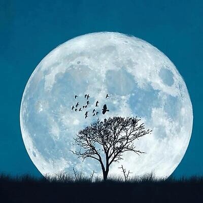 Greeting cards Full moon