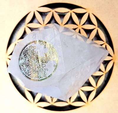 Clear Quartz Crystal Point Large 