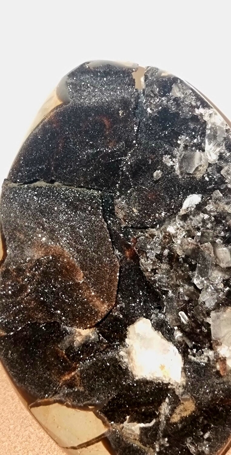 Serpentine Geode Crystal Druzy Cave Egg Brown Large Genuine Stone Specimen