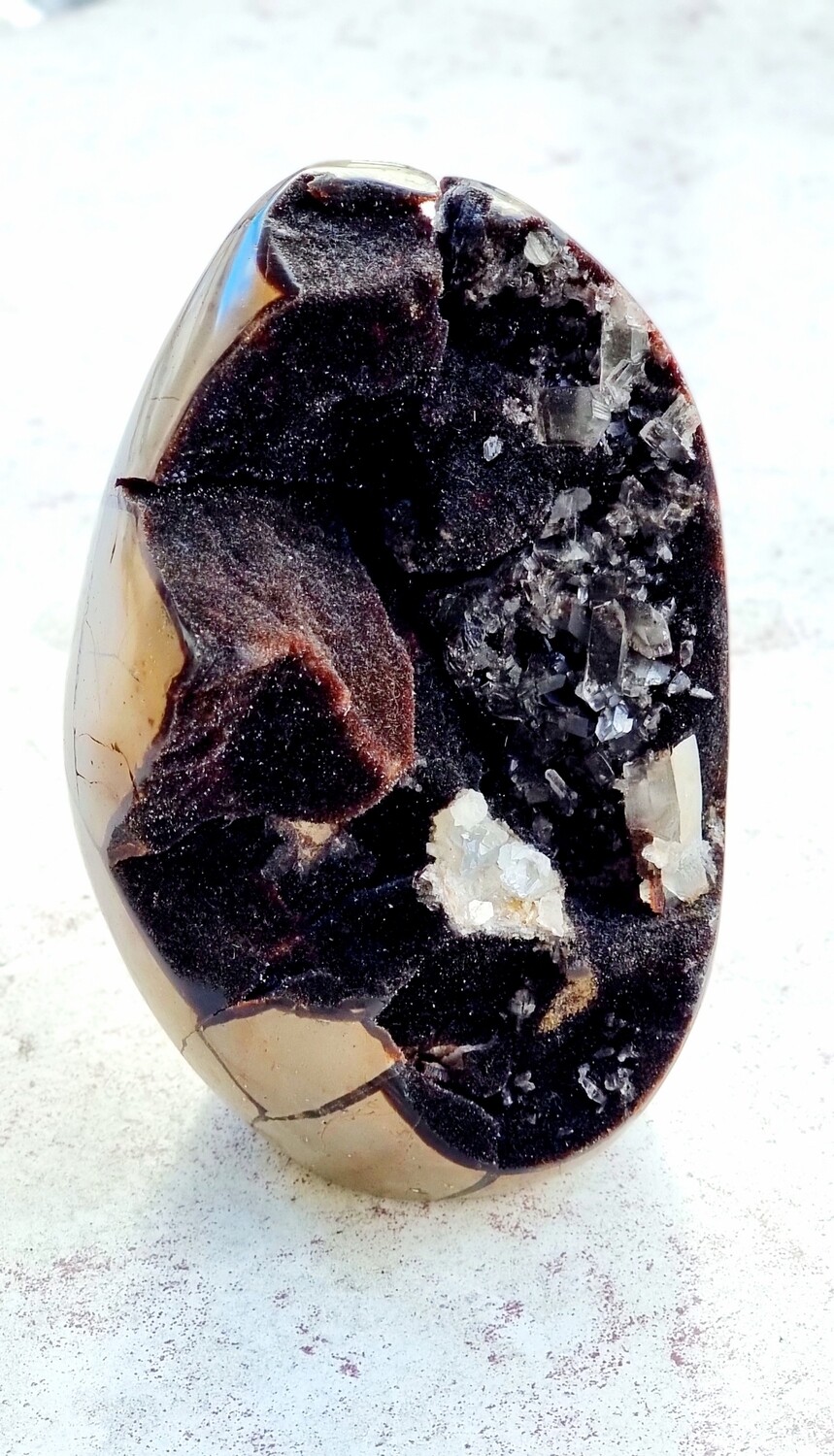 Serpentine Geode Crystal Druzy Cave Egg Brown Large Genuine Stone Specimen 
