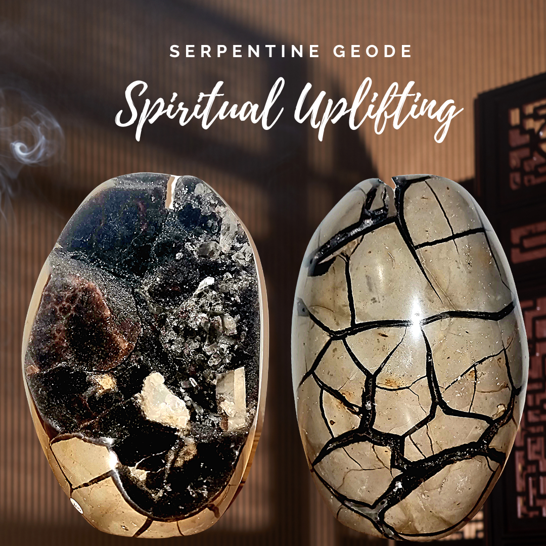 Serpentine Geode Crystal Druzy Cave Egg Brown Large Genuine Stone Specimen