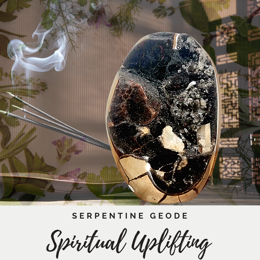 Serpentine Geode Crystal Druzy Cave Egg Brown Large Genuine Stone Specimen