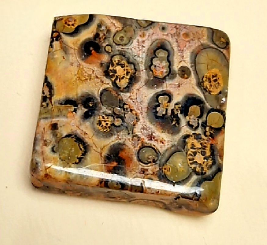 Radiant Turritella Agate Natural Crystal