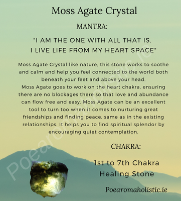 Moss Agate Tumbled Crystal 