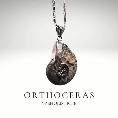 Orthoceras Fossil Pendant Necklace