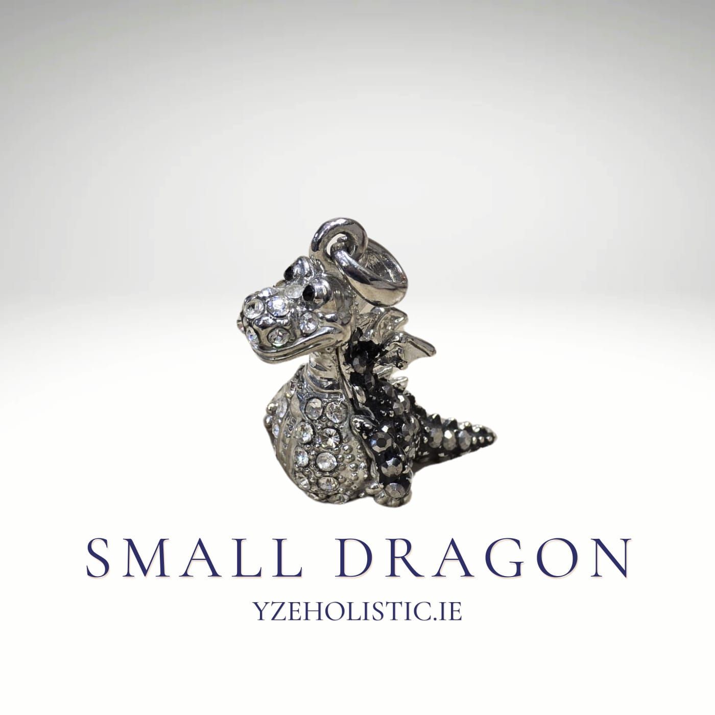 Small  Silver Dragon Pendant Necklace