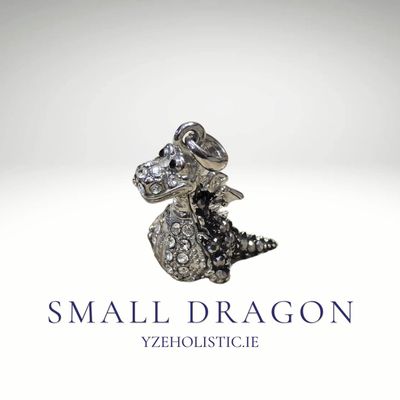 Small  Silver Dragon Pendant Necklace