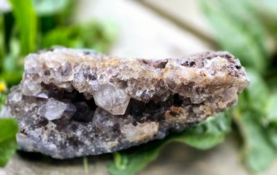 Smoky Quartz Druzy Natural Stone Druzy Crystal Cluster Specimen Large 