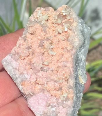 Rhodochrosite Rough Specimen