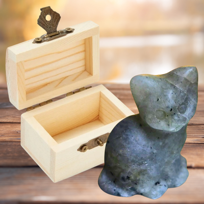 Sitting Cat Stone Carving with Wooden Treasure Box