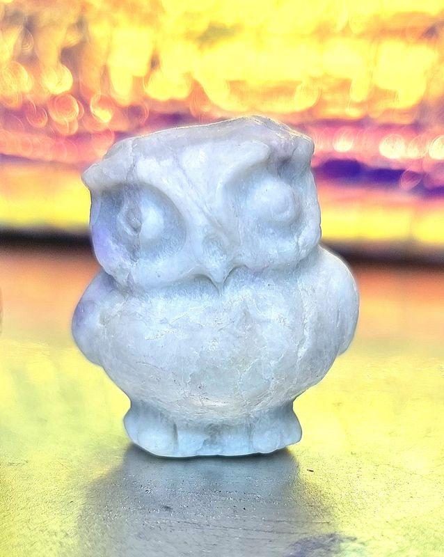 Owl Stone Carvings with the Wooden Treasure Box Animal Crystal Carving S