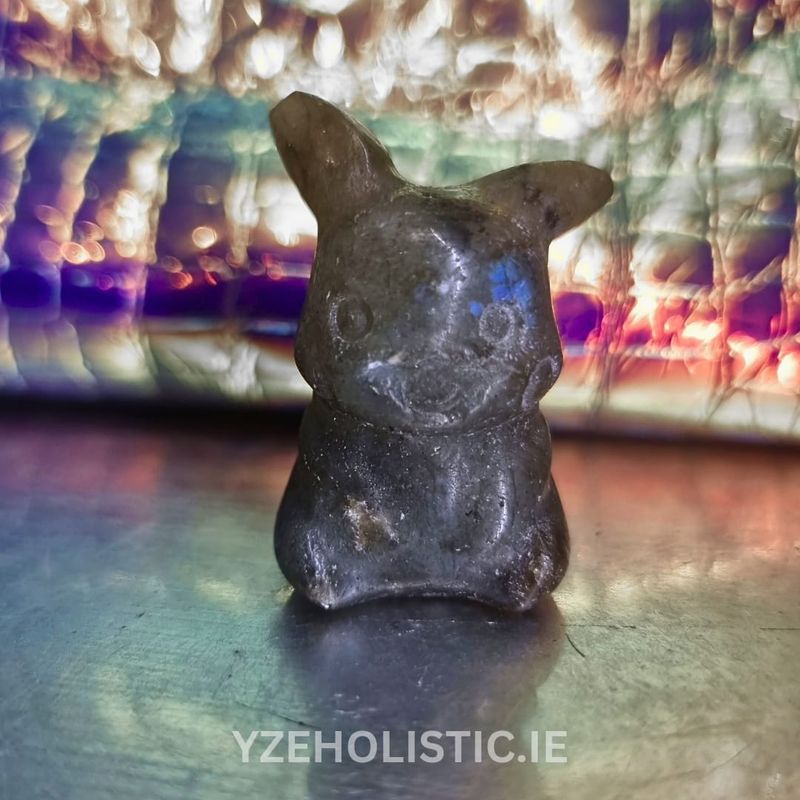 Pikachu "Pokemon" Character Stone Carvings L with Wooden Treasure Box 