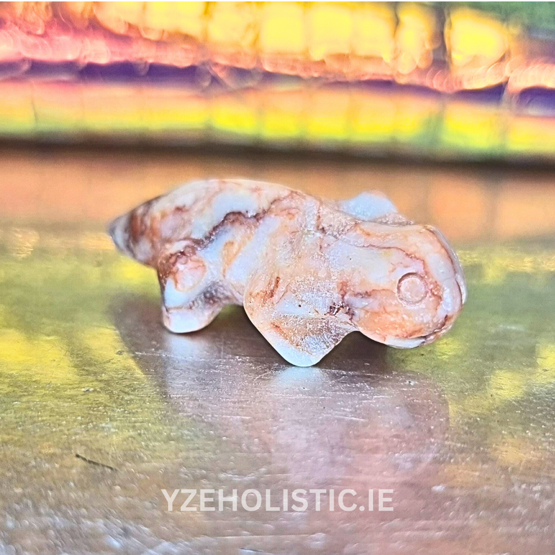Axolotl Amphibian Stone Carvings Animal Crystal Carving Figurine