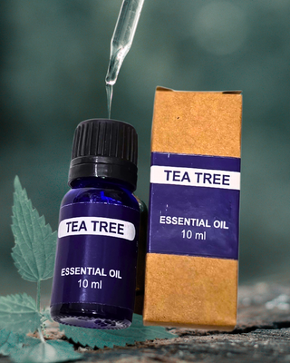 TeaTree Essential Oil Natural Aromatherapy 