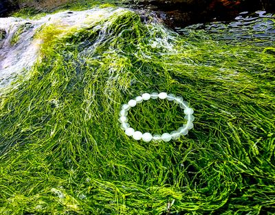 White Quartz Crystal Bracelet 
