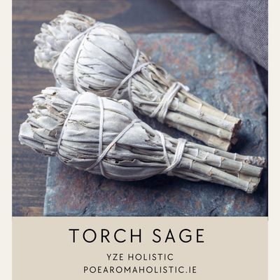 Sage Torch Smudge Stick 4" Dried White Sage AAA Grade with Beautiful Scent, Home Cleansing Incense 