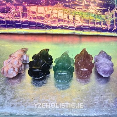 Axolotl Amphibian Stone Carvings Animal Crystal Carving Figurine
