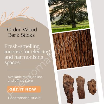 Cedar Sacred Wood Lebanese Cedar Bark Sticks Organic Aromatherapy Smudging 