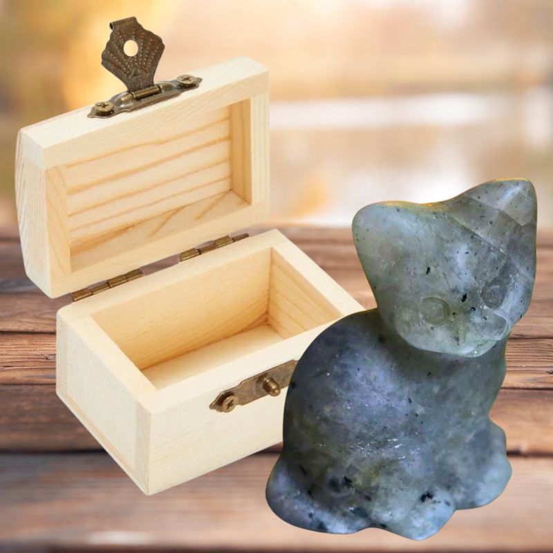 Sitting Cat Stone Carving with Wooden Treasure Box