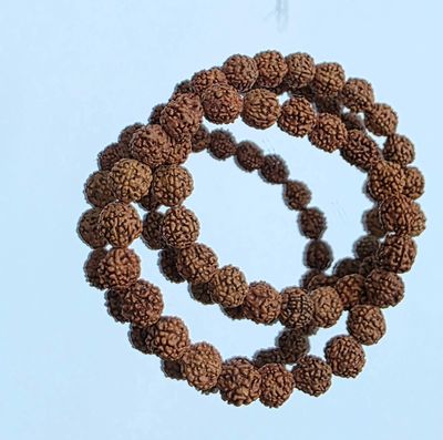 Rudraksha Seed Bead Bracelet - Emotional Balance - Protection ±8mm
