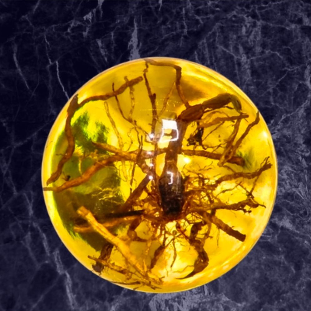 Natural Fossil Amber Crystal Sphere Featuring Rare Scorpio Insect Inclusion ±70mm