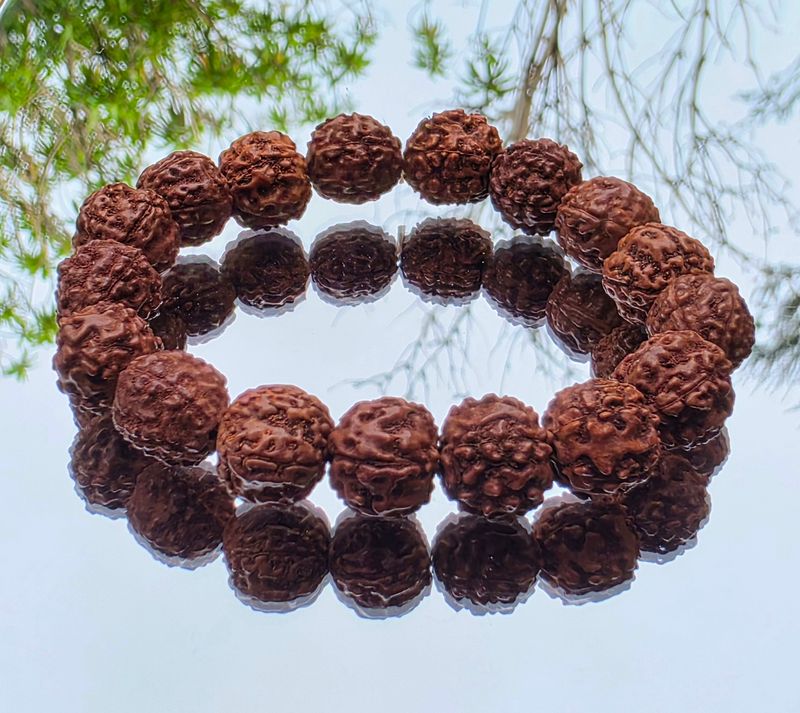 Rudraksha Seed Bead Bracelet Large Bead - Emotional Balance - Protection ±12-14mm