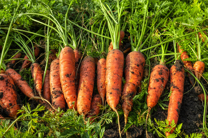 DONATE TO THE LOCAL COMMUNITY FOOD CENTRE