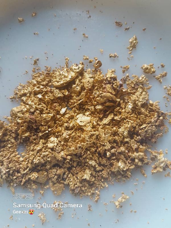 Gold flakes actual extraction