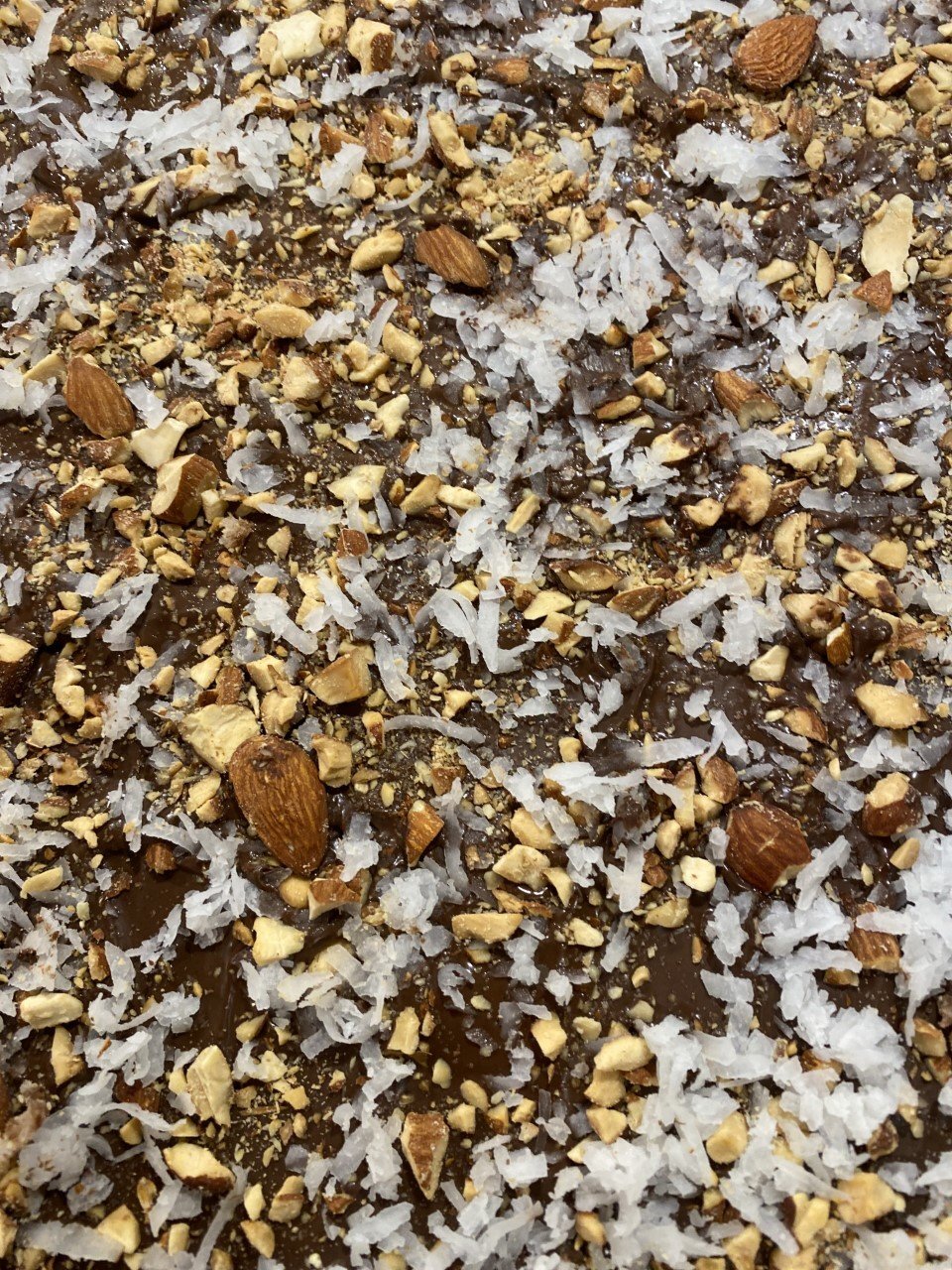 Dark Chocolate Coconut Almond