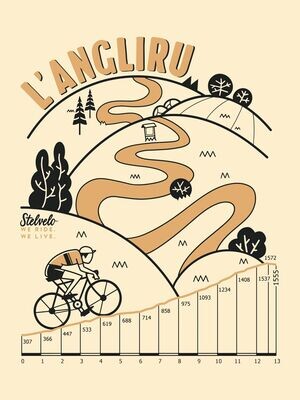 Novedades Ciclismo | Stelvelo