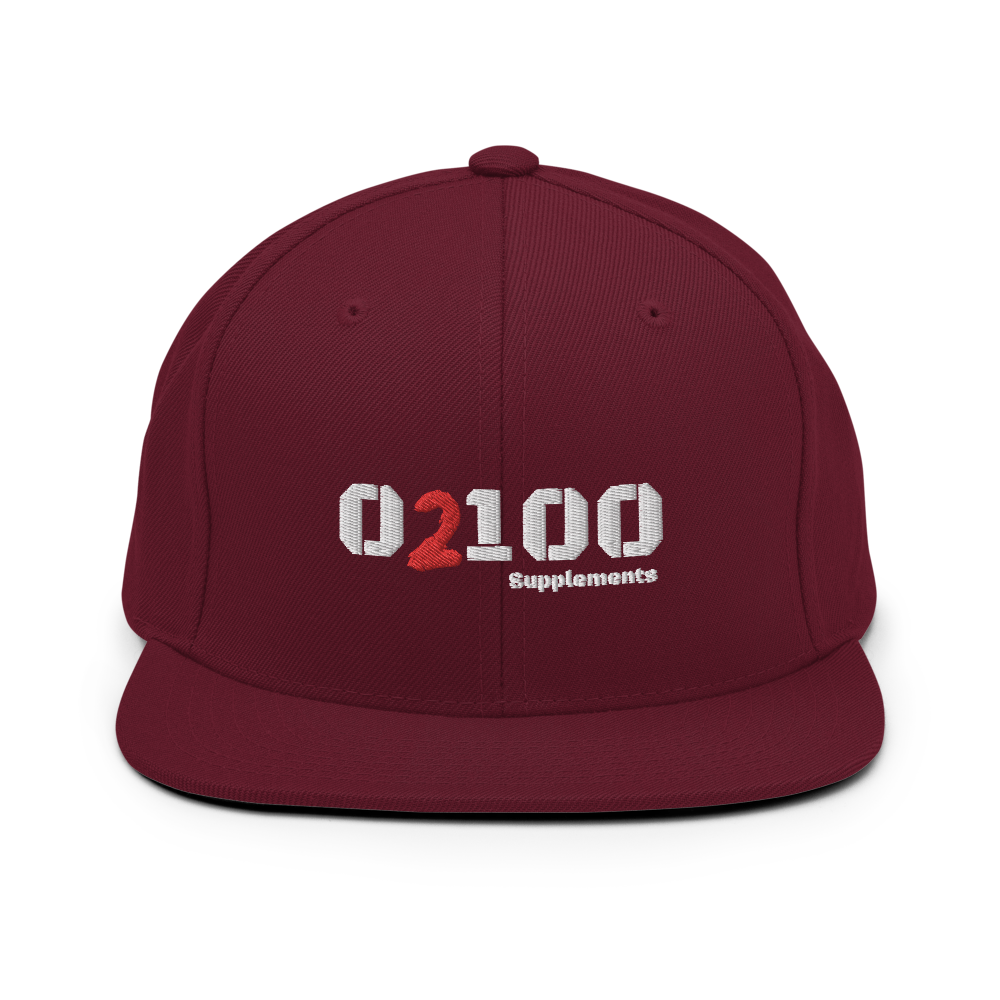 Retro Trucker Snapback