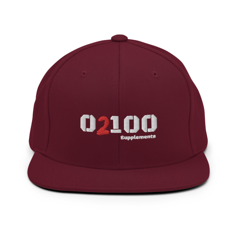 Retro Trucker Snapback