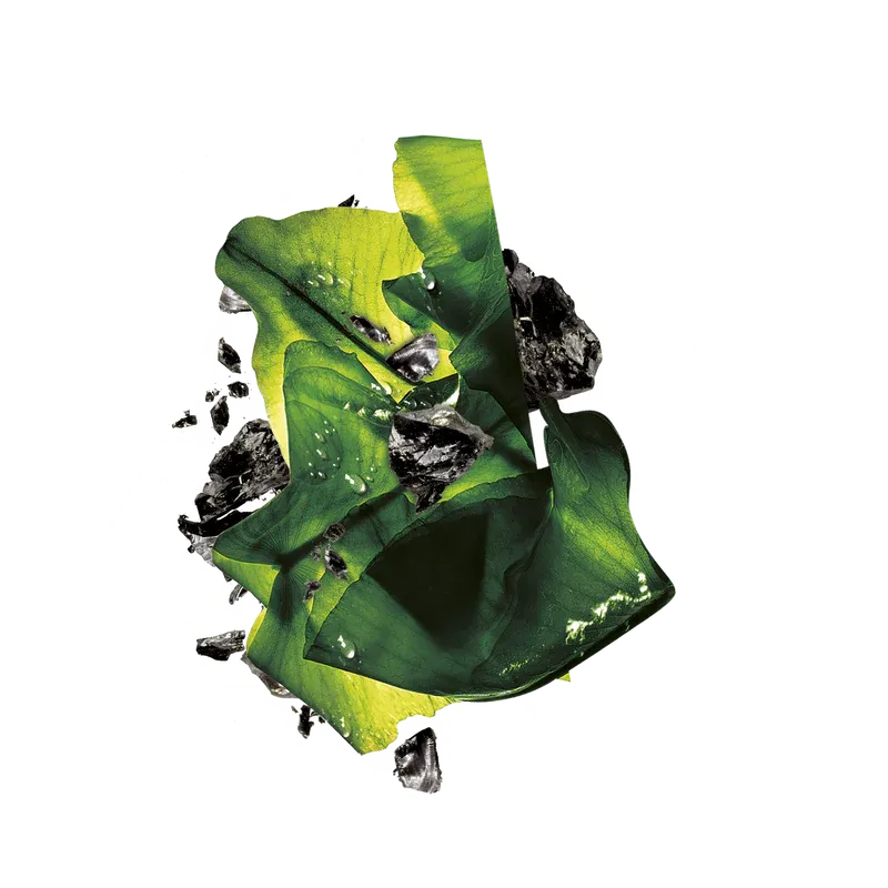 Garnier - Pure Charcoal Black Sheet Mask