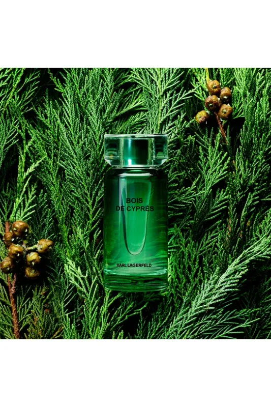 Karl Lagerfeld - Bois de Cypres Men EDT | 100 mL