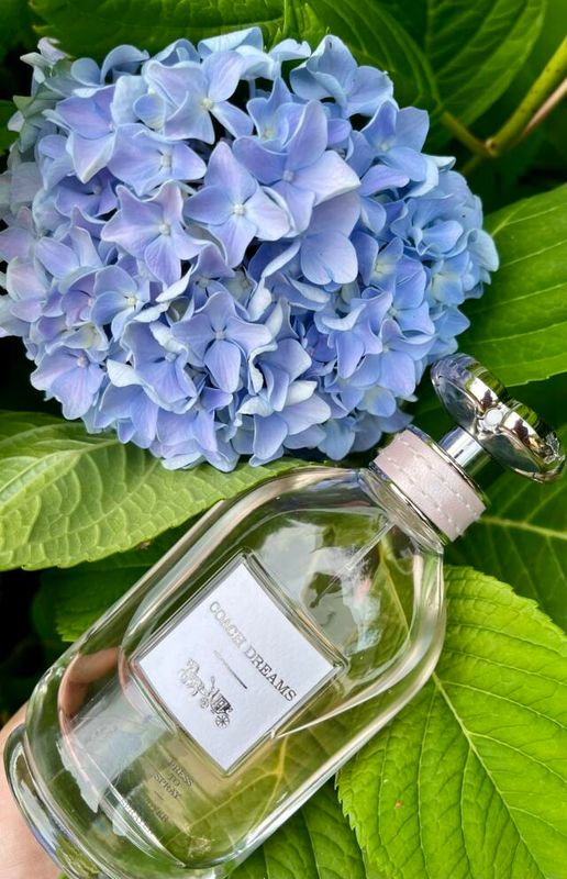 COACH - Dreams EDP | 60 mL