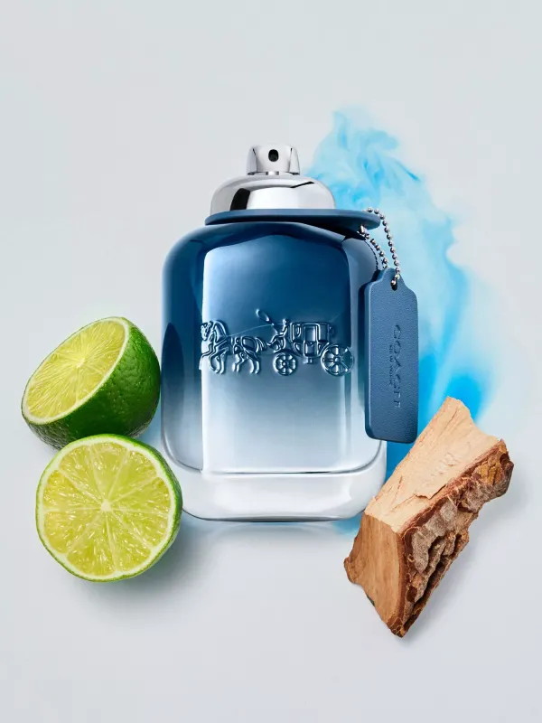COACH - Blue EDT | 100 mL
